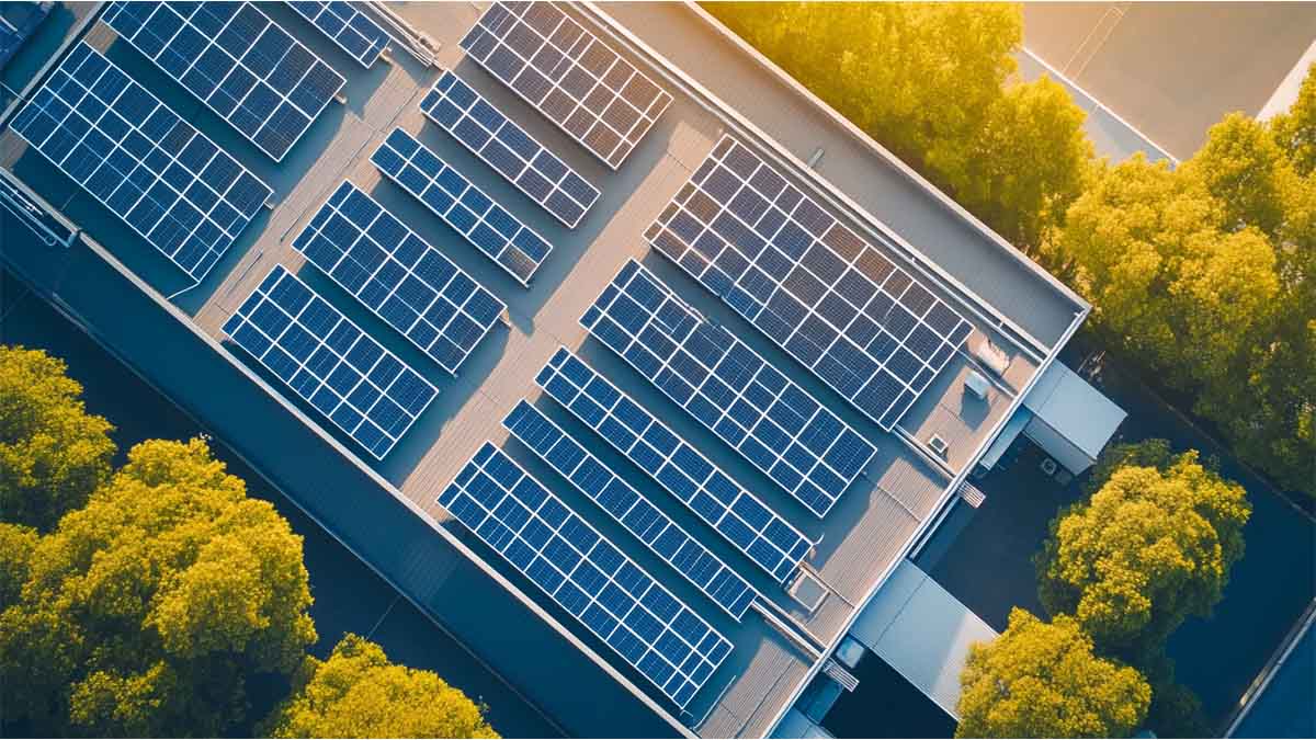 Workersbee führt Solarstromsystem auf Dächern ein, um nachhaltige Produktion zu unterstützen